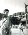 MARCO FEDOLFI