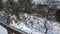 NEVE NEL CAMPO DI TIRO