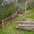 STACCIONATA