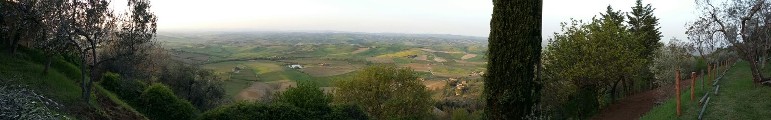 CHE PANORAMA